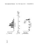 NOVEL REPRESSOR ON IFN-LAMBDA PROMOTER AND SIRNA AGAINST ZEB1 AND BLIMP-1     TO INCREASE IFN-LAMBDA GENE ACTIVITY diagram and image