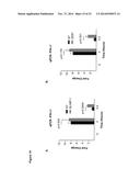 NOVEL REPRESSOR ON IFN-LAMBDA PROMOTER AND SIRNA AGAINST ZEB1 AND BLIMP-1     TO INCREASE IFN-LAMBDA GENE ACTIVITY diagram and image