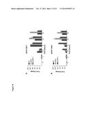 NOVEL REPRESSOR ON IFN-LAMBDA PROMOTER AND SIRNA AGAINST ZEB1 AND BLIMP-1     TO INCREASE IFN-LAMBDA GENE ACTIVITY diagram and image