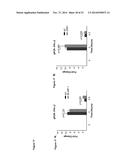 NOVEL REPRESSOR ON IFN-LAMBDA PROMOTER AND SIRNA AGAINST ZEB1 AND BLIMP-1     TO INCREASE IFN-LAMBDA GENE ACTIVITY diagram and image