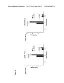 NOVEL REPRESSOR ON IFN-LAMBDA PROMOTER AND SIRNA AGAINST ZEB1 AND BLIMP-1     TO INCREASE IFN-LAMBDA GENE ACTIVITY diagram and image