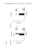 NOVEL REPRESSOR ON IFN-LAMBDA PROMOTER AND SIRNA AGAINST ZEB1 AND BLIMP-1     TO INCREASE IFN-LAMBDA GENE ACTIVITY diagram and image