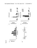 NOVEL REPRESSOR ON IFN-LAMBDA PROMOTER AND SIRNA AGAINST ZEB1 AND BLIMP-1     TO INCREASE IFN-LAMBDA GENE ACTIVITY diagram and image