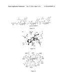 3  Equatorial-Fluorine-Substituted Neuraminidase Inhibitor Compounds,     Compositions and Methods for the Use Thereof as Anti-Virals diagram and image