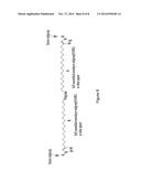 SURFACE MODIFICATION OF POLYMERS VIA SURFACE ACTIVE AND REACTIVE END     GROUPS diagram and image