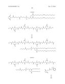 FUNCTIONAL LIPID CONSTRUCTS diagram and image