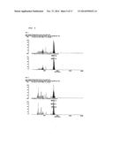 SIRNA CONJUGATE AND PREPARATION METHOD THEREOF diagram and image