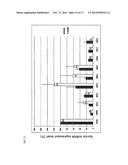 SIRNA CONJUGATE AND PREPARATION METHOD THEREOF diagram and image