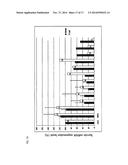 SIRNA CONJUGATE AND PREPARATION METHOD THEREOF diagram and image