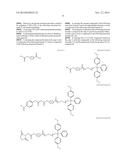 SIRNA CONJUGATE AND PREPARATION METHOD THEREOF diagram and image