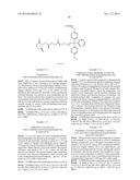 SIRNA CONJUGATE AND PREPARATION METHOD THEREOF diagram and image