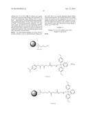 SIRNA CONJUGATE AND PREPARATION METHOD THEREOF diagram and image