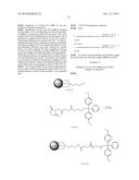 SIRNA CONJUGATE AND PREPARATION METHOD THEREOF diagram and image