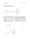 SIRNA CONJUGATE AND PREPARATION METHOD THEREOF diagram and image