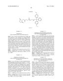 SIRNA CONJUGATE AND PREPARATION METHOD THEREOF diagram and image