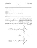 SIRNA CONJUGATE AND PREPARATION METHOD THEREOF diagram and image