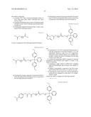 SIRNA CONJUGATE AND PREPARATION METHOD THEREOF diagram and image