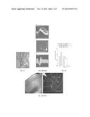 INTEGRATED THIN-FILM OPTRODE diagram and image