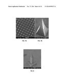 DISSOLVABLE MICRONEEDLE ARRAYS FOR TRANSDERMAL DELIVERY TO HUMAN SKIN diagram and image