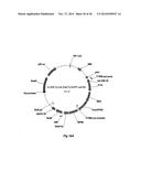  Self-Regulating Device for Modulating Inflammation  diagram and image