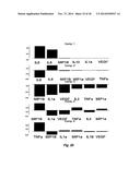  Self-Regulating Device for Modulating Inflammation  diagram and image