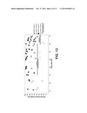 SYSTEMS AND METHODS THAT PROVIDE ELECTRICAL STIMULATION TO A NERVE TO     REDUCE A REFLEX THAT AFFECTS A BODILY FUNCTION diagram and image