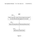 Transparent Parity-Based Recovery System and Method for Storage Devices diagram and image