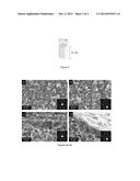 SEEDED-GEL SYNTHESIS OF HIGH FLUX AND HIGH SELECTIVITY SAPO-34 MEMBRANES     FOR CO2/CH4 SEPARATIONS diagram and image