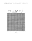 SOLAR CELL diagram and image