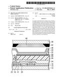 ORGANIC ELECTROLUMINESCENCE DISPLAY DEVICE diagram and image