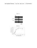 P-TYPE OXIDE, COMPOSITION FOR PRODUCING P-TYPE OXIDE, METHOD FOR PRODUCING     P-TYPE OXIDE, SEMICONDUCTOR ELEMENT, DISPLAY ELEMENT, IMAGE DISPLAY     DEVICE, AND SYSTEM diagram and image