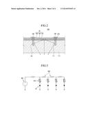 ORGANIC LIGHT-EMITTING DIODE LIGHTING APPARATUS diagram and image