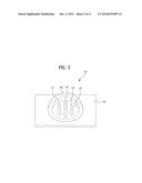 LIGHT EMITTING DEVICE PACKAGE AND LIGHTING APPARATUS USING THE SAME diagram and image