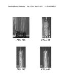 ELECTRICALLY-DRIVEN FLUID FLOW AND RELATED SYSTEMS AND METHODS, INCLUDING     ELECTROSPINNING AND ELECTROSPRAYING SYSTEMS AND METHODS diagram and image