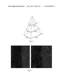 MATCHING PROCEDURE AND DEVICE FOR THE DIGITAL MODELLING OF OBJECTS BY     STEREOSCOPIC IMAGES diagram and image