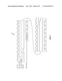 CONTINUOUS TUNING OF PREAMBLE RELEASE TIMING IN A DOUBLE DATA-RATE MEMORY     DEVICE INTERFACE diagram and image