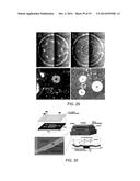 COMPUTATION DEVICES AND ARTIFICIAL NEURONS BASED ON NANOELECTROMECHANICAL     SYSTEMS diagram and image