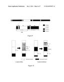 Ratio Resource Sharing and Contention Scheme for Device-to-Device     Communication in White Space Spectrum Bands diagram and image