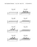 RAMAN SCATTERING PHOTOENHANCEMENT DEVICE, METHOD FOR MANUFACTURING RAMAN     SCATTERING PHOTOENHANCEMENT DEVICE, AND RAMAN LASER LIGHT SOURCE USING     RAMAN SCATTERING PHOTOENHANCEMENT DEVICE diagram and image