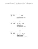 DEVELOPING ROLLER, DEVELOPING DEVICE, AND IMAGE FORMING APPARATUS diagram and image