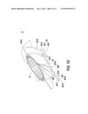 FAN diagram and image