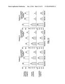 Methods for Therapeutic Renal Denervation diagram and image