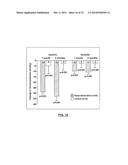 Methods for Therapeutic Renal Denervation diagram and image