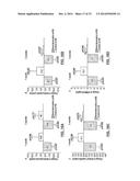 Methods for Therapeutic Renal Denervation diagram and image