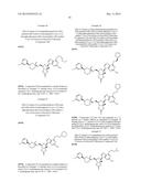 NOVEL 2 -C-METHYL NUCLEOSIDE DERIVATIVE COMPOUNDS diagram and image