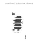 GENE THERAPY FOR SPINAL CORD DISORDERS diagram and image