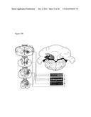 GENE THERAPY FOR SPINAL CORD DISORDERS diagram and image