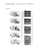 GENE THERAPY FOR SPINAL CORD DISORDERS diagram and image