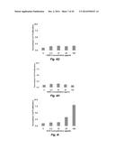 INJECTABLE CNS-DERIVED ECM FOR TISSUE RECONSTRUCTION diagram and image