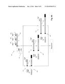 SEQUENCE-BASED MEASURES OF IMMUNE RESPONSE diagram and image